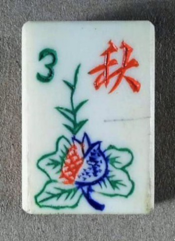 Bone/Bamboo 40/60 BONE 152 tiles Ref #489 - Image 26