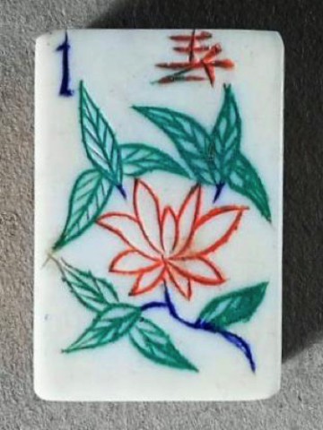 Bone/Bamboo 45/55 BONE 152 tiles Ref #501 - Image 24