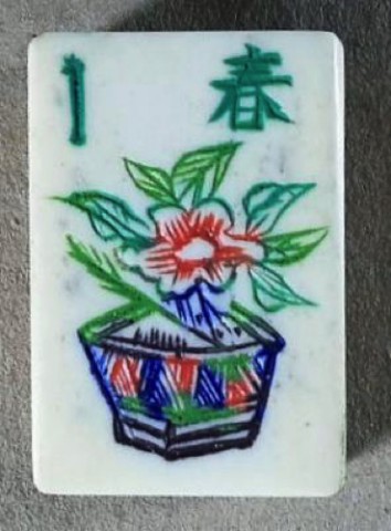 Bone/Bamboo INLAID CASE 152 tiles ref #508 - Image 35