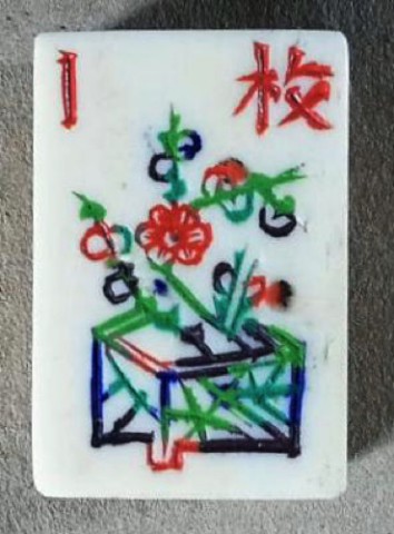 Bone/Bamboo INLAID CASE 152 tiles ref #508 - Image 39