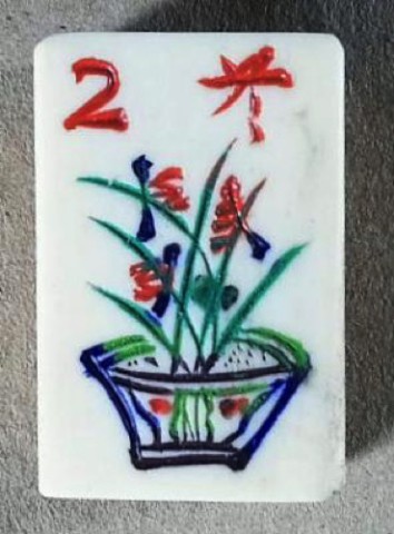 Bone/Bamboo INLAID CASE 152 tiles ref #508 - Image 40