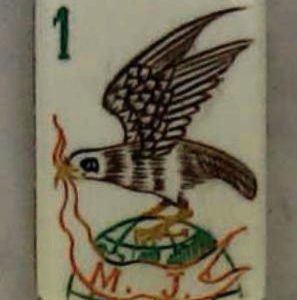 REAL IVORY 148 tiles Ref #X59